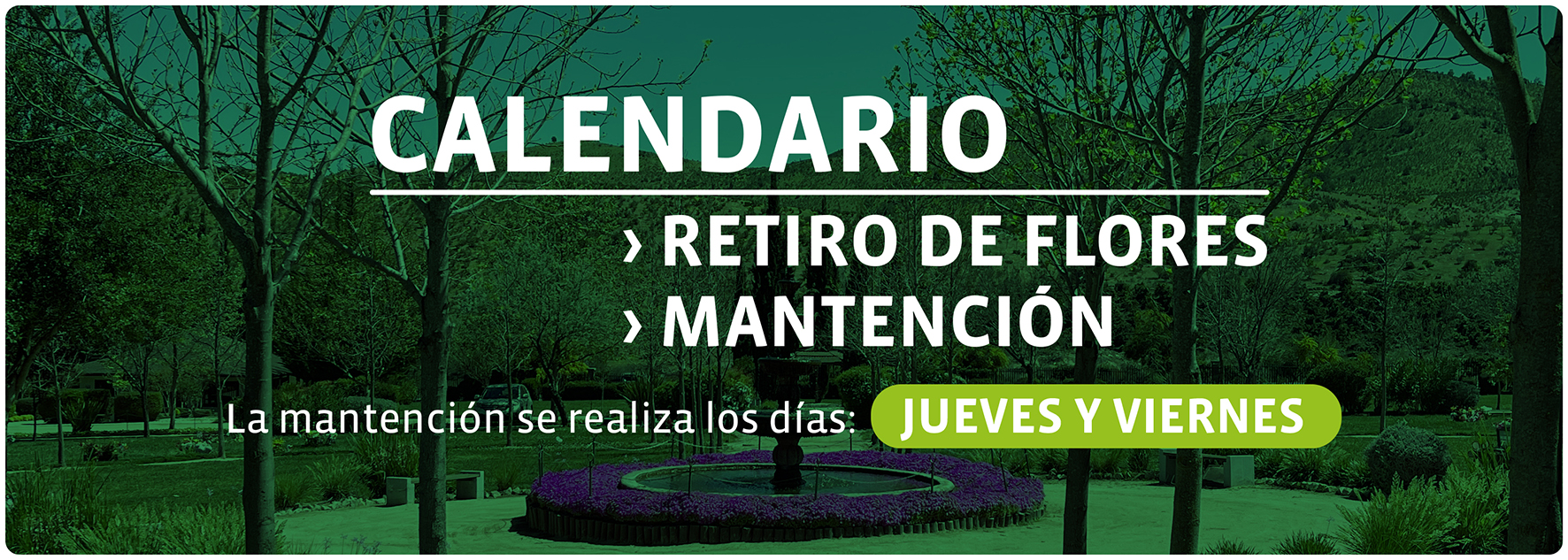PARQUE